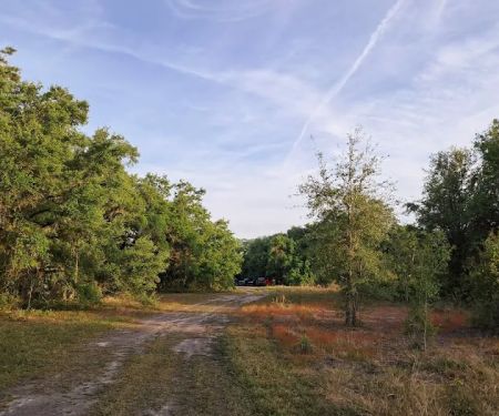 Starvation Slough Campsite