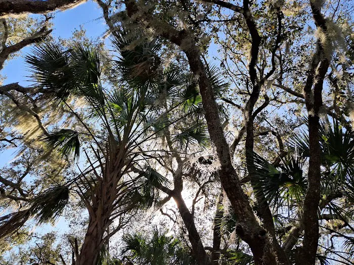 Starvation Slough Campsite Picture 3