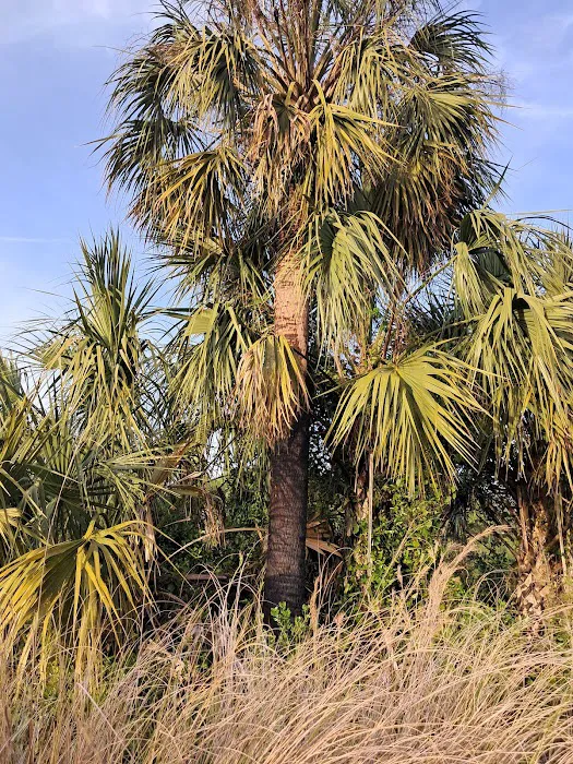 Starvation Slough Campsite Picture 4