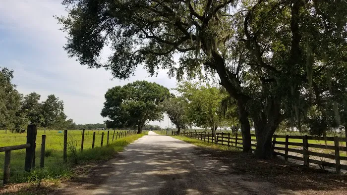 Starvation Slough Campsite Picture 6