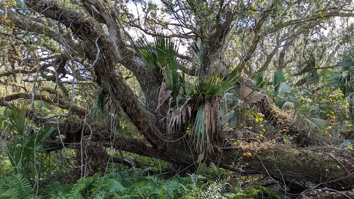 Oak Creek North Campsite Picture 2