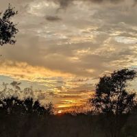 Oak Creek North Campsite ico