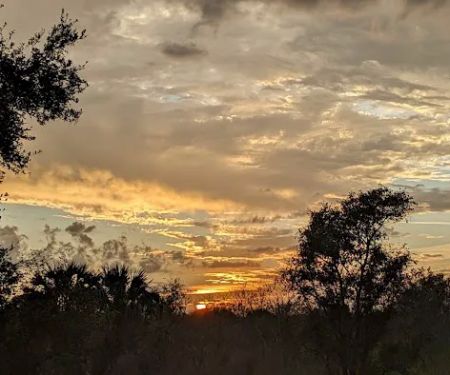 Oak Creek North Campsite