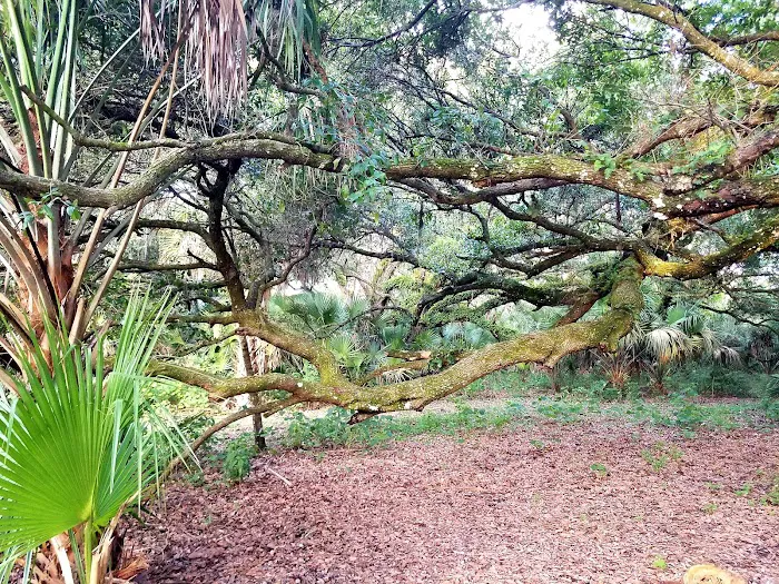 Oak Creek North Campsite Picture 5