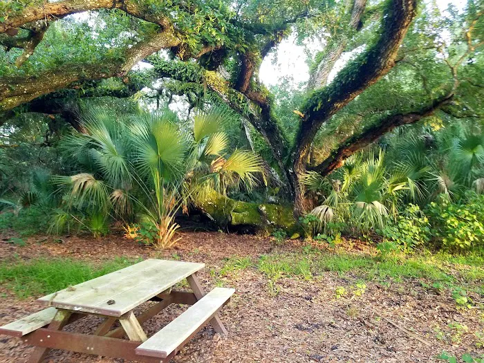 Oak Creek North Campsite Picture 10