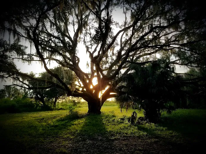 Oak Creek North Campsite Picture 4