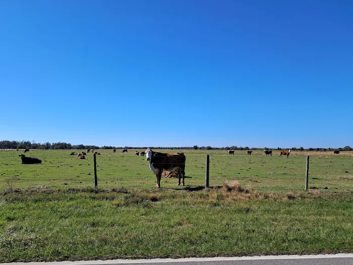 Oak Creek South Campsite Picture 4