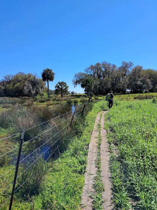 Oak Creek South Campsite Picture 8