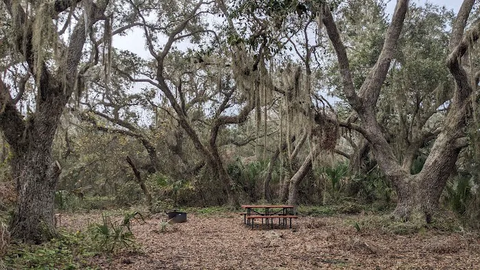 Oak Creek South Campsite Picture 2