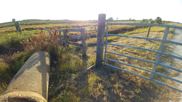 Oak Creek South Campsite Picture 9