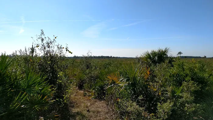 Prairie Primitive Campsite Picture 1