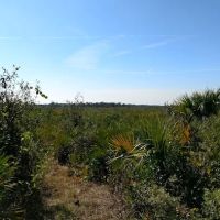 Prairie Primitive Campsite ico