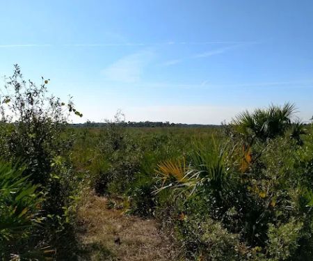 Prairie Primitive Campsite
