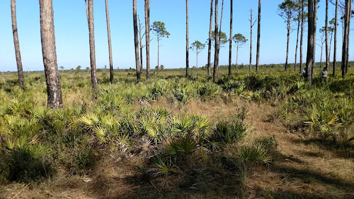 Prairie Primitive Campsite Picture 4