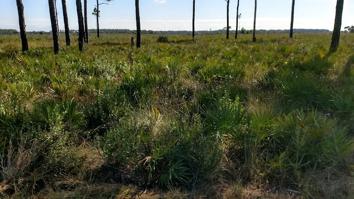 Prairie Primitive Campsite Picture 5