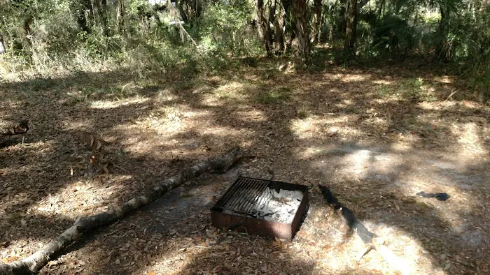 Oak Grove Primitive Campsites Picture 2