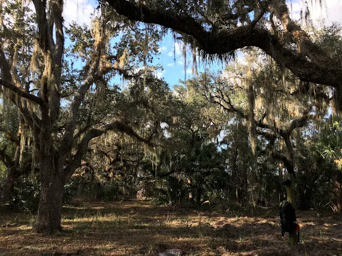 Oak Grove Primitive Campsites Picture 6