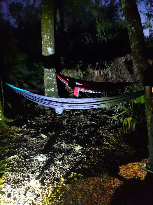 Oak Grove Primitive Campsites Picture 7