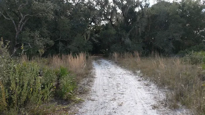 Oak Grove Primitive Campsites Picture 5