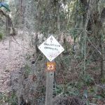 Oak Grove Primitive Campsites