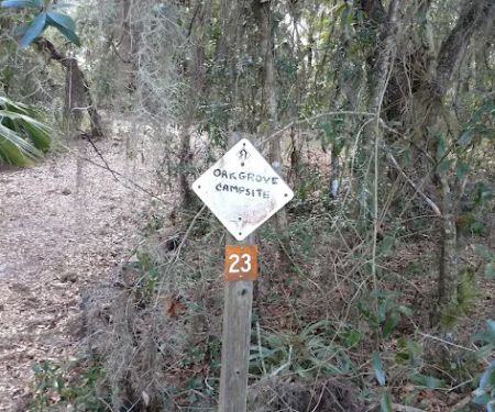 Oak Grove Primitive Campsites