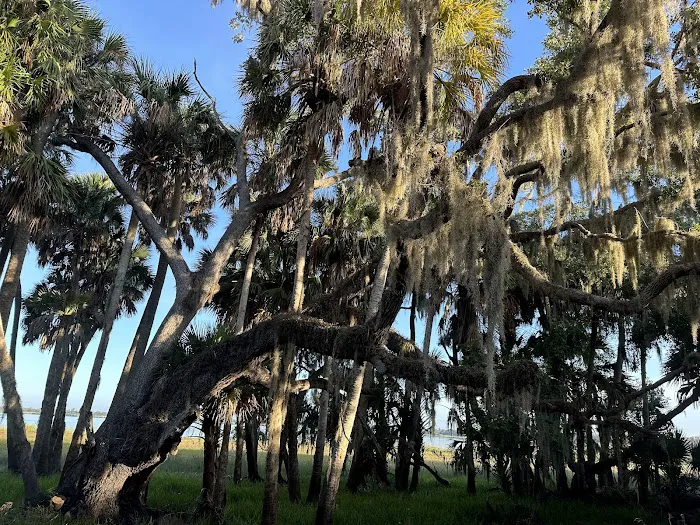 Myakka River State Park Big Flats Campground Picture 1