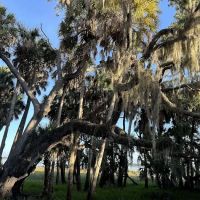 Myakka River State Park Big Flats Campground ico