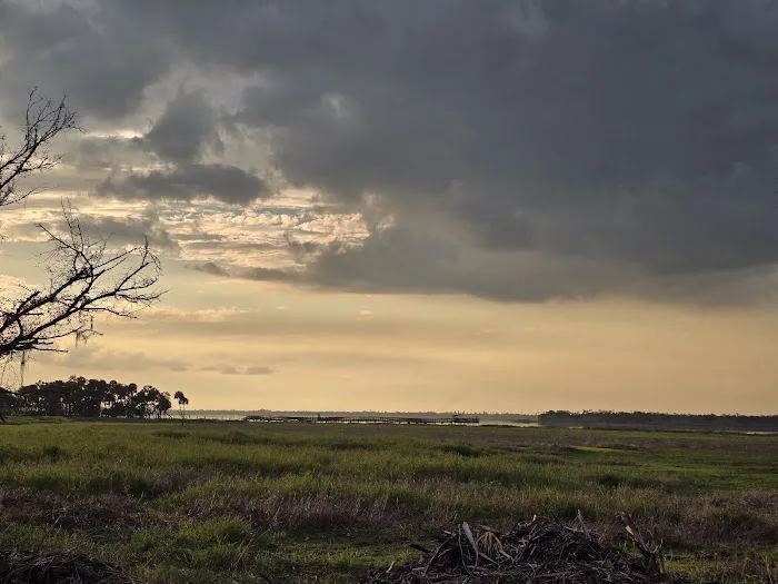 Myakka River State Park Big Flats Campground Picture 3