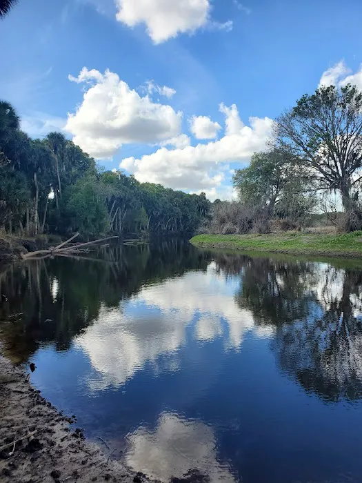 Myakka River State Park Big Flats Campground Picture 4