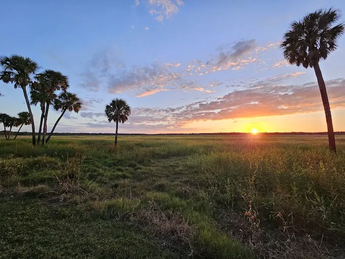 Myakka River State Park Big Flats Campground Picture 7