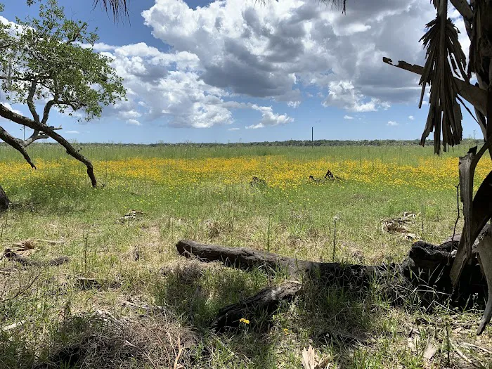 Myakka River State Park Big Flats Campground Picture 6