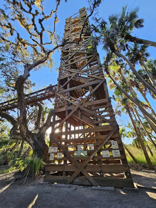 Myakka River State Park Big Flats Campground Picture 8