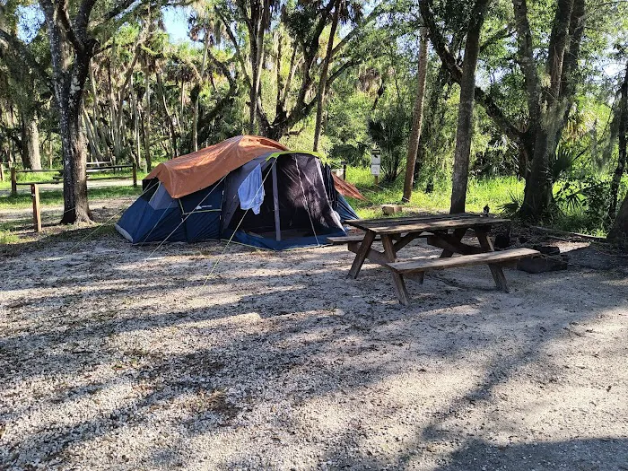 Myakka River State Park Big Flats Campground Picture 9