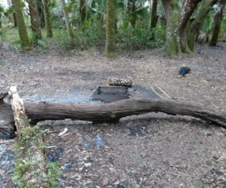 Mossy Hammock Primative Campsite