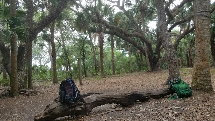 Mossy Hammock Primative Campsite Picture 2