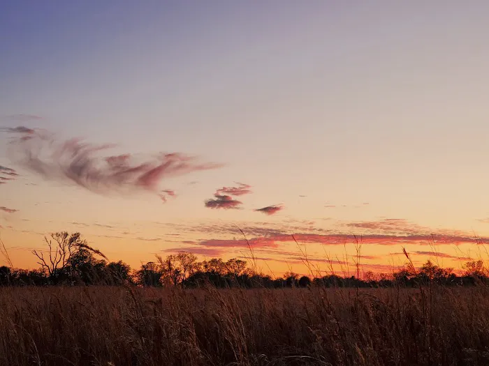 Mossy Hammock Primative Campsite Picture 5