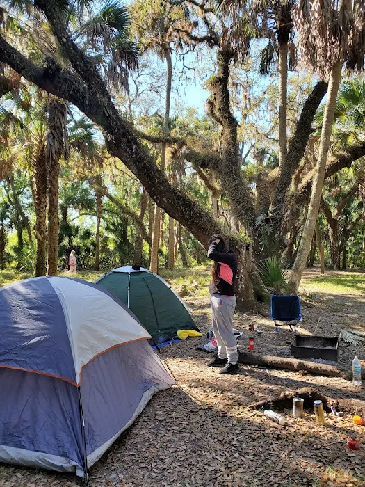 Mossy Hammock Primative Campsite Picture 9