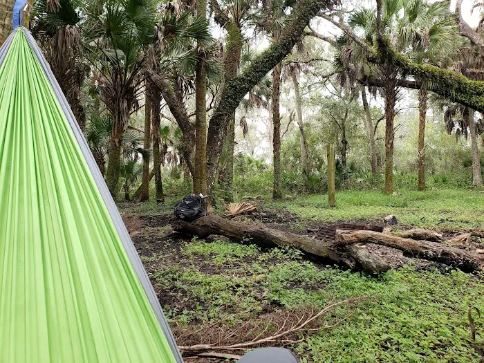 Mossy Hammock Primative Campsite Picture 7