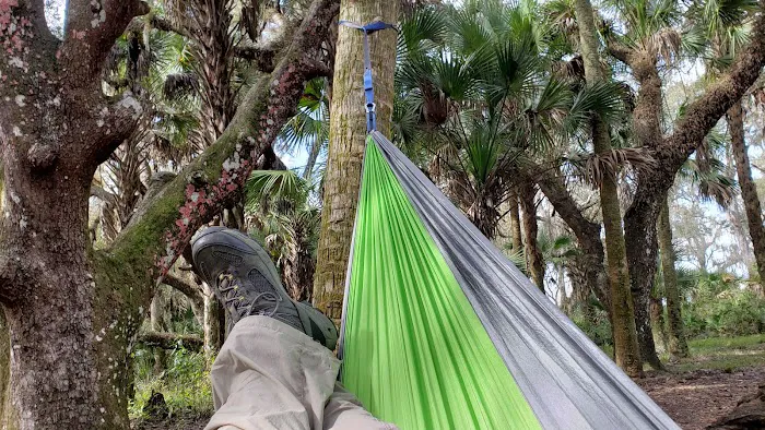 Mossy Hammock Primative Campsite Picture 6