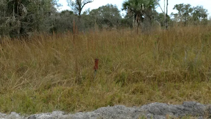 Mossy Hammock Primative Campsite Picture 3