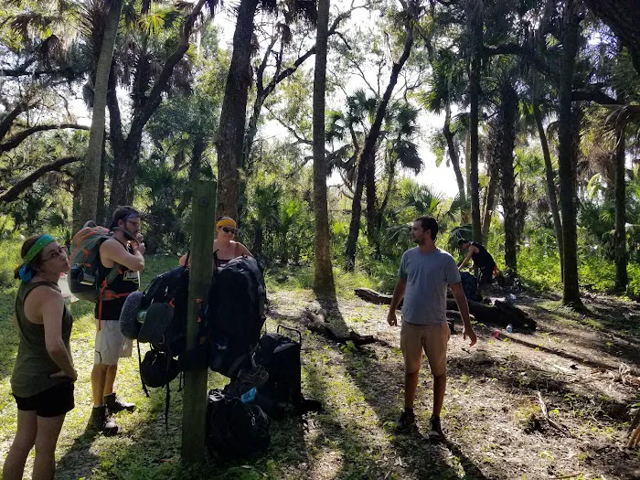 Mossy Hammock Primative Campsite Picture 10