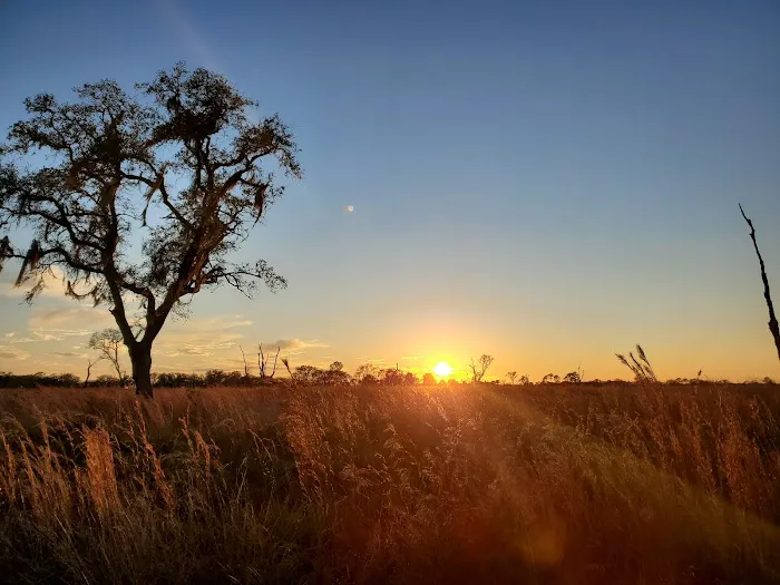 Mossy Hammock Primative Campsite Picture 4