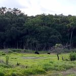 Palmetto Ridge Campground