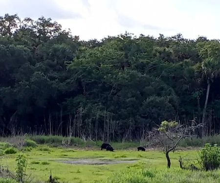 Palmetto Ridge Campground