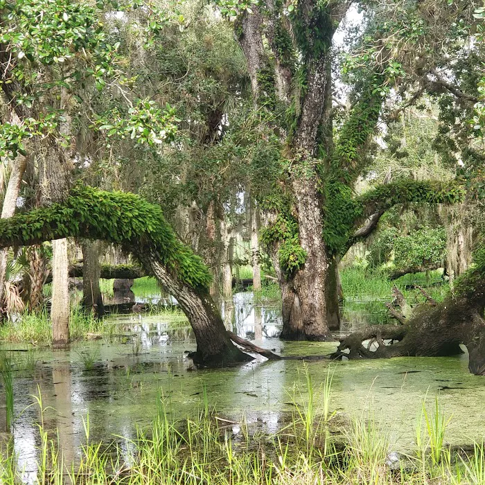 Palmetto Ridge Campground Picture 5