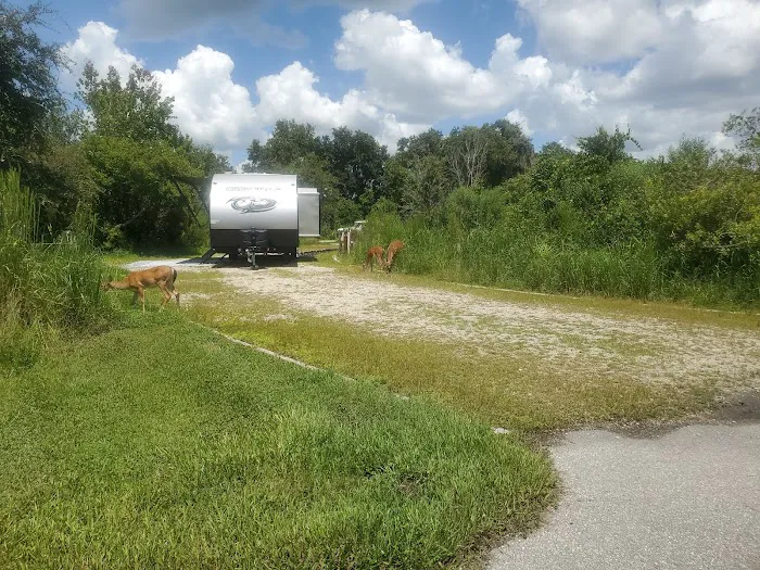 Palmetto Ridge Campground Picture 7