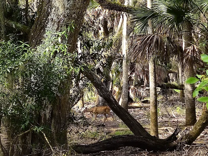Old Prairie Campground Picture 10