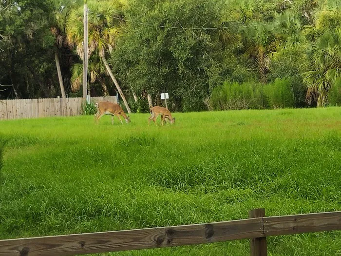 Old Prairie Campground Picture 9