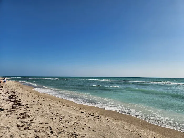 Turtle Beach Campground Picture 2