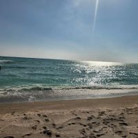 Turtle Beach Campground ico